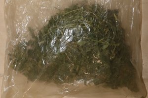 Na zdjęciu widoczna w woreczku foliowym marihuana. Zdjęcie poglądowe.