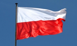 zdjęcie przedstawia flagę
